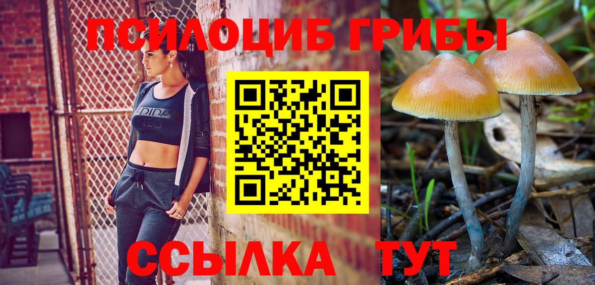 Псилоцибиновые грибы Magic Shrooms Анжеро-Судженск